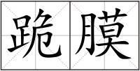 跪膜