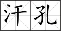 汗孔