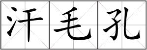 汗毛孔