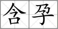 含孕