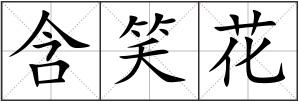 含笑花