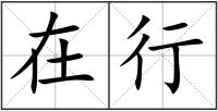 在行