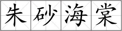 朱砂海棠