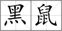 黑鼠