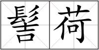 髻荷