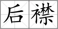 后襟