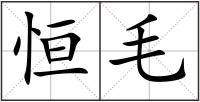 恒毛