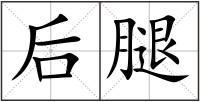 后腿