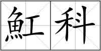 魟科