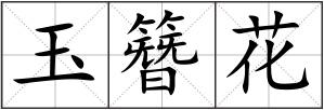 玉簪花
