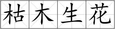 枯木生花