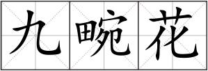 九畹花