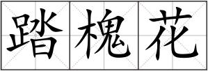 踏槐花