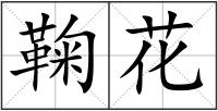 鞠花