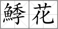 鯚花