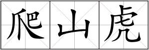爬山虎
