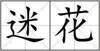 迷花