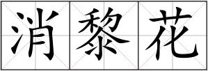 消黎花