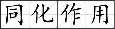 同化作用