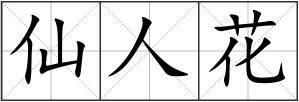 仙人花