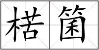 楛箘