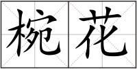 椀花