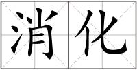 消化