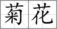 菊花
