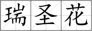 瑞圣花