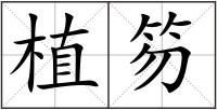 植笏