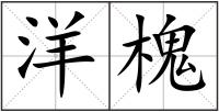 洋槐