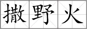 撒野火