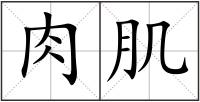肉肌