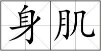 身肌