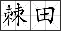棘田