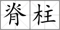 脊柱