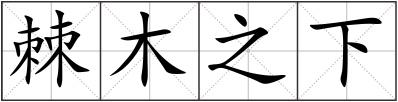 棘木之下