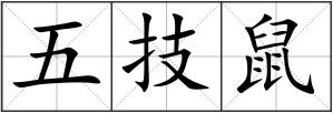 五技鼠