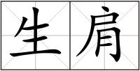 生肩