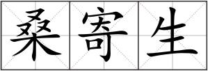 桑寄生
