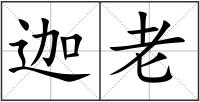 迦老