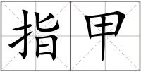 指甲