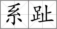 系趾