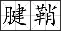 腱鞘
