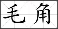 毛角