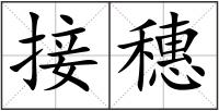 接穗