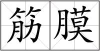 筋膜
