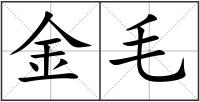 金毛