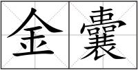 金囊
