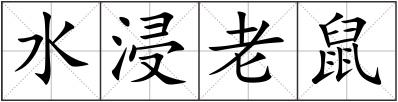 水浸老鼠